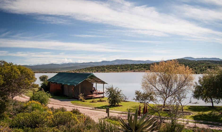 Buffelsdrift Game Lodge