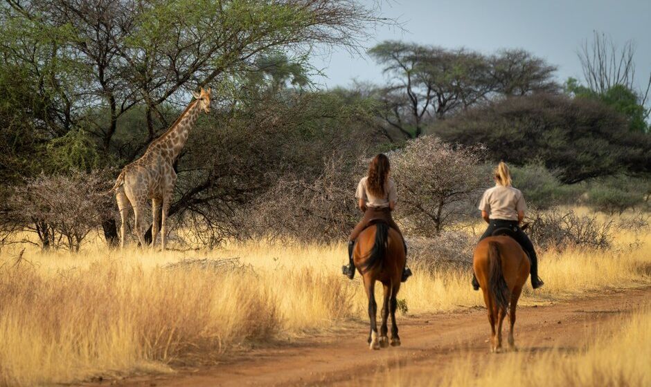 Horse riders and a Giraffe