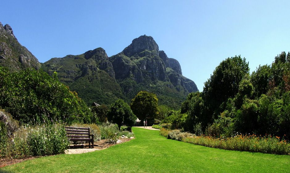 Kirstenbosch Gardens