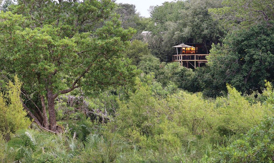 Londolozi Tree Camp