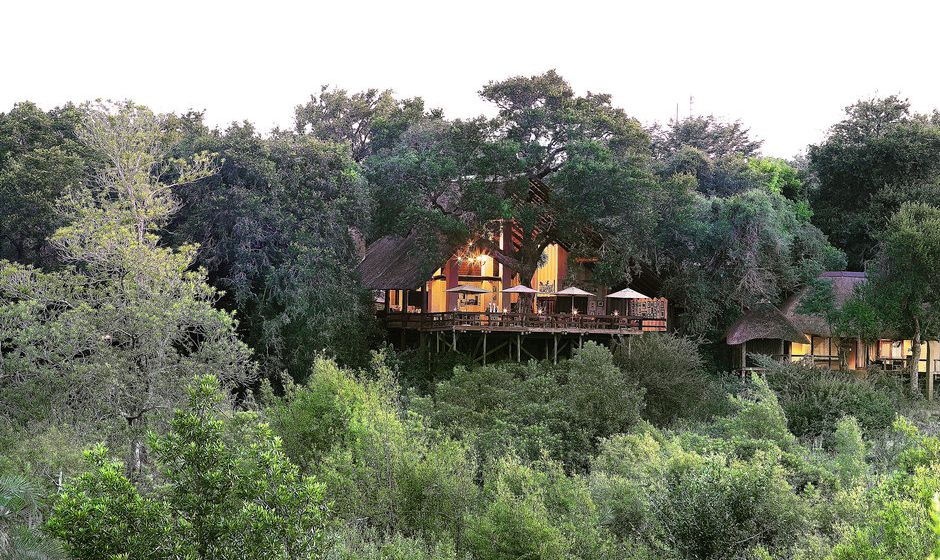 Londolozi Varty Camp