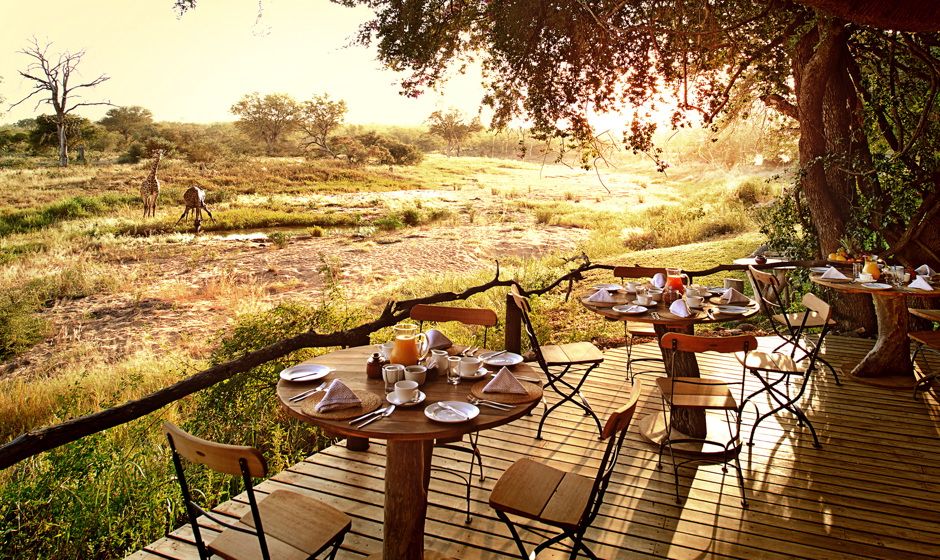 Motswari Private Game Reserve