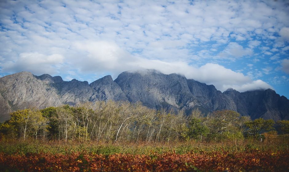 The Last Word Franschhoek