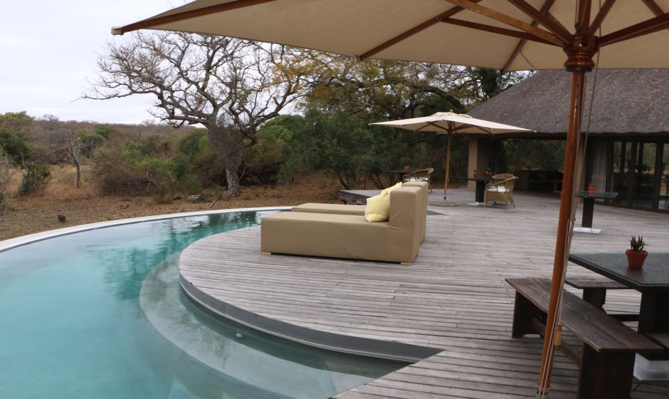 Refreshing swimming pool overlooking the bush