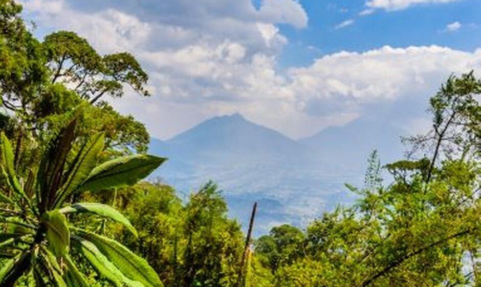 Rwanda - volcano