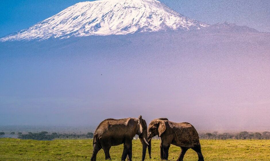 Mount Kilimanjaro