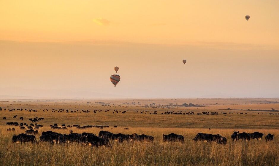 Hot Air Balloons above wildlife in Tanzania