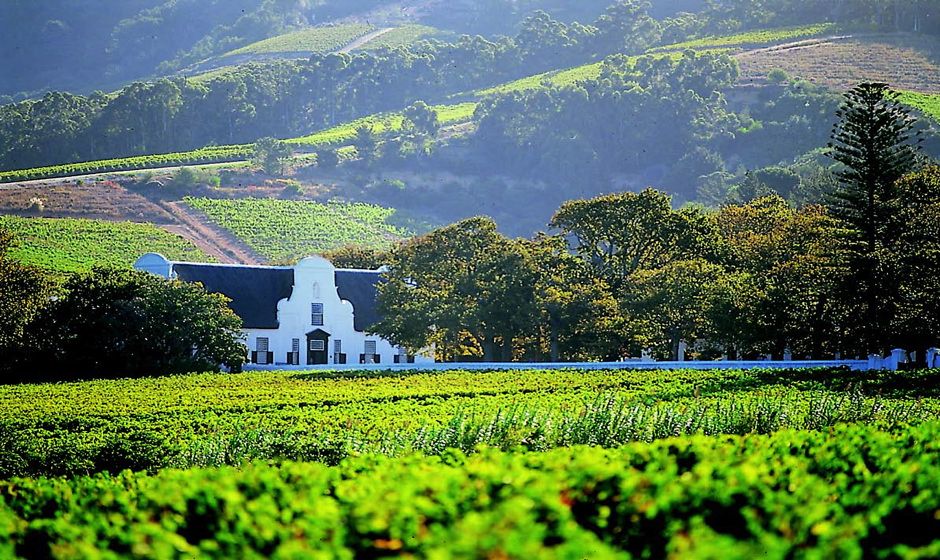 Constantia Winelands