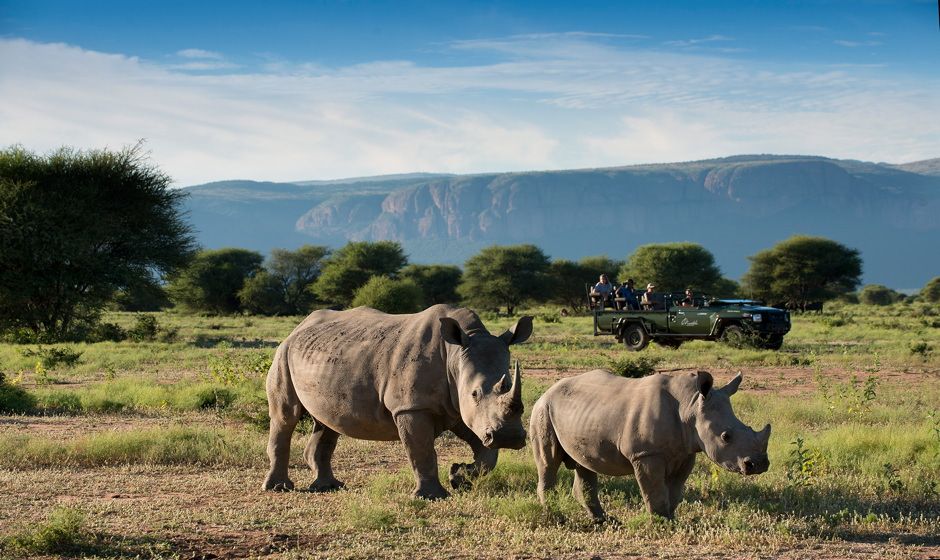 Marataba Trails Lodge 