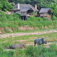 Jock Safari Lodge