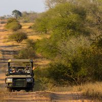 Rhino Post Safari Lodge