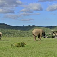 Shamwari Eagles Crag